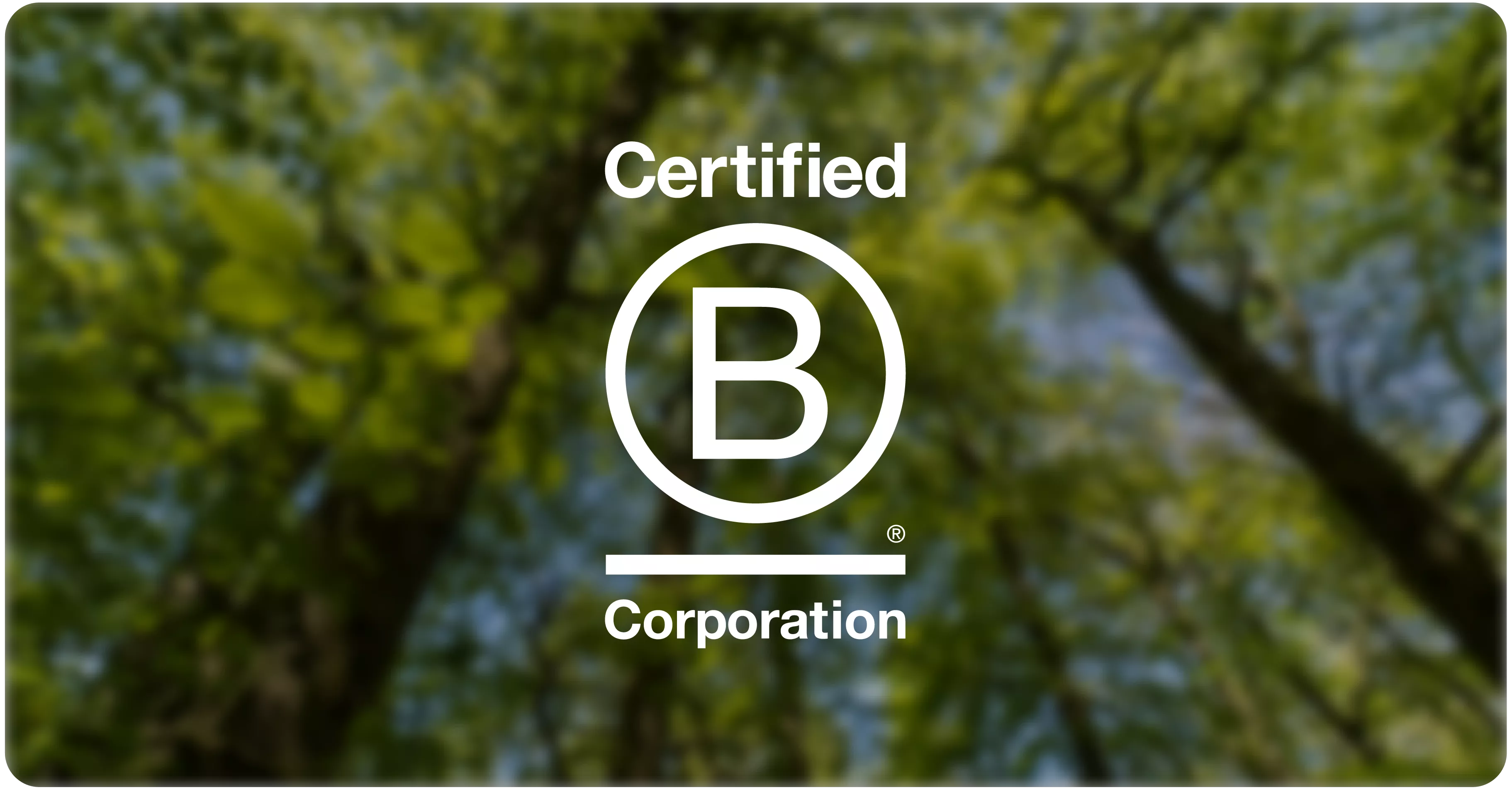 Image about We believe in a better way of doing business